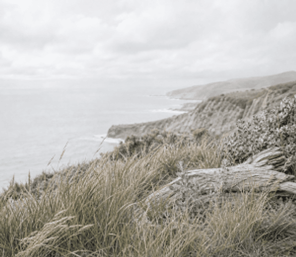 Coast scent landscape