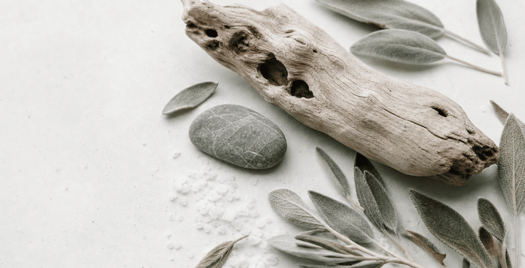 Coastal sage, driftwood and smooth stones