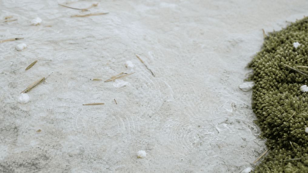 Keeping Stone Luminous