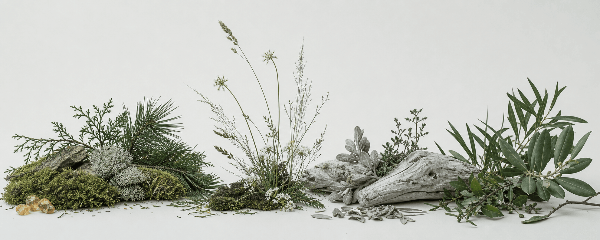 Botanical landscapes gathered for EMBER & MOSS gift sets